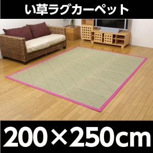 『代引不可』 イケヒコ DXミルキー い草ラグカ...の商品画像