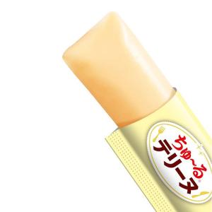 『ポイント10倍』ちゅ〜る テリーヌ チーズ ...の詳細画像1