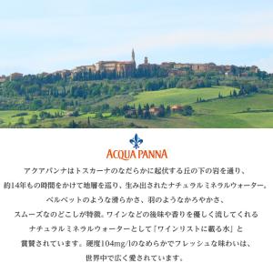ナチュラルミネラルウォーター アクアパンナ 5...の詳細画像4