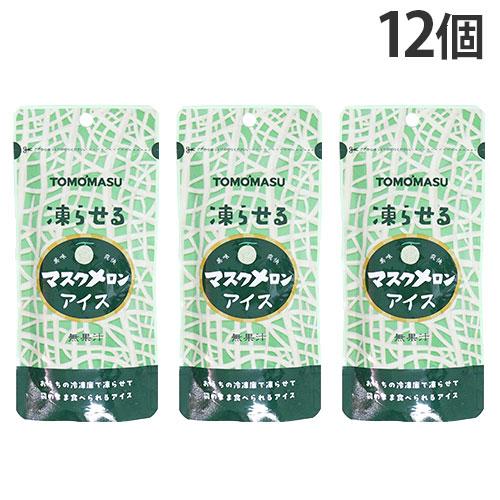 友桝飲料 果実アイス マスクメロン 80g 12個 パウチタイプ