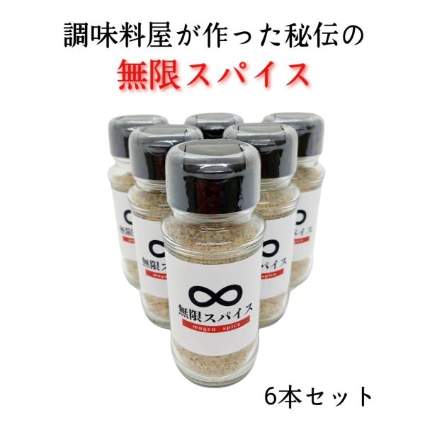 ∞無限スパイス　100g×6本セット　【バーベキュー/BBQ/調味料/料理/アウトドア】