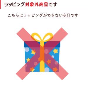 工作キット クリスマスデコ 子ども会 クリスマ...の詳細画像5