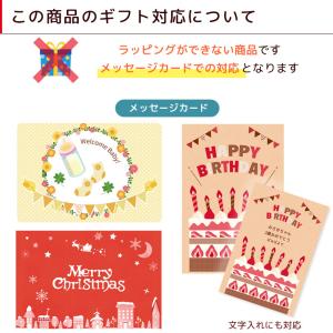 出産祝い 乗用玩具 すすめゾウさん 2歳 誕生...の詳細画像5