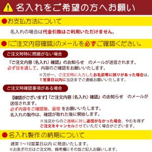 出産祝い 乗用玩具 すすめゾウさん 2歳 誕生...の詳細画像4
