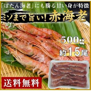 海老 えび 赤海老 アルゼンチン赤海老 お刺身 エビフライ 海老 エビ 約15尾 500g 冷凍 業務用 大容量 冷凍便 海鮮丼 ギフト プレゼント｜alumart