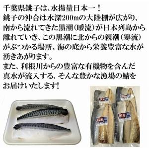 爆買 塩さばフィーレ 塩サバフィーレ 塩さば ...の詳細画像1