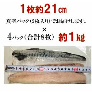 爆買 塩さばフィーレ 塩サバフィーレ 塩さば ...の詳細画像2