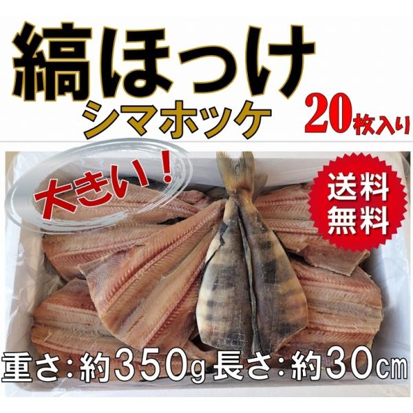 しまほっけ シマホッケ 縞ほっけ ほっけ ホッケ 20枚入り 魚介類、海産物 干物 一夜干し 送料無...