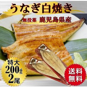 敬老の日 うなぎ ウナギ 白焼き 鰻白焼き 国産 鰻 白焼き 200ｇ 2尾 特大 敬老の日 丑の日 鰻 ギフト うな重 うな丼 ひつまぶし｜alumart