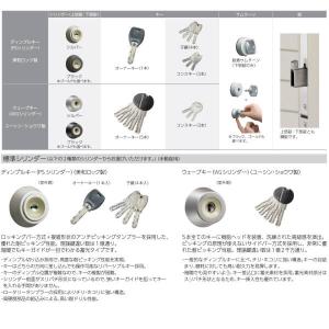 Venato Ykkap D30 D30 玄関ドア 手動錠仕様 片開きドア D4 D2仕様 ヴェナート 手動錠仕様 新設 Ykk 断熱玄関ドア C05 W922 H2330mm ヴェナート おしゃれ リフォーム Venatod30 A1 C05 アルミサッシ専門店