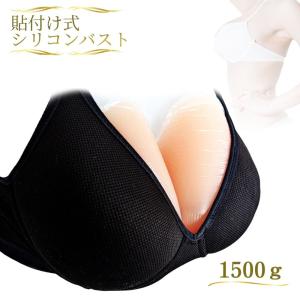ミコプエラ Micopuella 人工乳房 粘着 貼付式 シリコンバスト 左右2個 女装 おっぱい