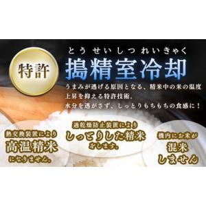 令和7年度 茨城県産 コシヒカリ無洗米 5キロの詳細画像2