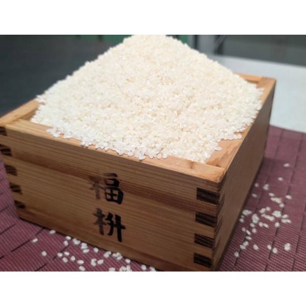 令和7年度 茨城県産 コシヒカリ30キロ 無洗米