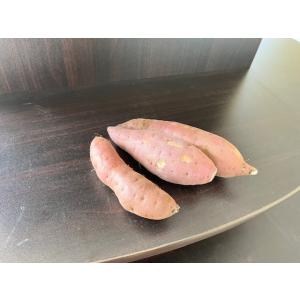 さつまいも 茨城県産【家庭用】紅はるか 2kg BSサイズ 小ぶりで使いやすい