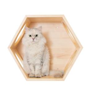 MYZOO 六角ハウス 猫ハウス 【質感のある無垢材】 キャットステップ 壁