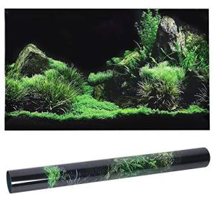 水槽 壁紙 熱帯魚 アクアリウム用品 の商品一覧 ペット用品 生き物 通販 Yahoo ショッピング