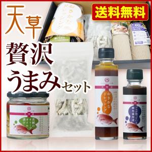 お歳暮 送料無料 天草 贅沢うまみセット...