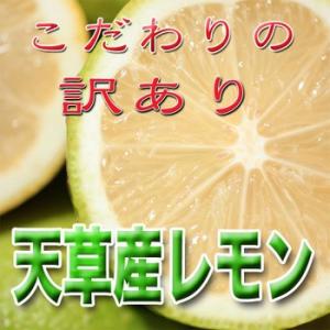 レモン 訳あり 国産 3kg入り　天草オーガニック　4月以降は全国クール便配送