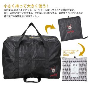 【最大15%OFFクーポン8/26まで】Dis...の詳細画像1