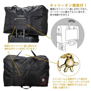【最大15%OFFクーポン8/26まで】Dis...の詳細画像2
