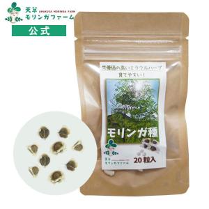 公式 モリンガの種 自家栽培 家庭菜園用 モリンガオレイフェラ（ワサビノキ）20個 食物繊維 ミネラル｜天草モリンガファームYahoo店