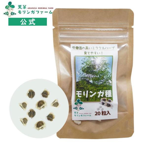 公式 モリンガの種 自家栽培 家庭菜園用 モリンガオレイフェラ（ワサビノキ）20個 食物繊維 ミネラ...