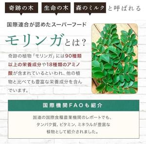 公式 モリンガの種 自家栽培 家庭菜園用 モリ...の詳細画像5