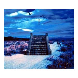 初回特典付き。13 (初回盤)/SADS：未開封CD 初回特典付き。13 (初回盤)/SADS：未開封CD Amazon.co.jp: 13 - sads: