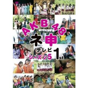 AKB48 ネ申テレビ シーズン5 1st レンタル落ち 中古 DVD
