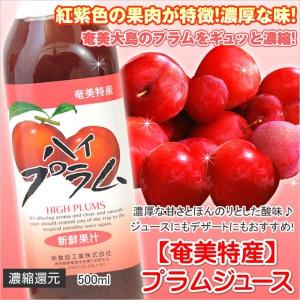 プラムジュース 500ml×12本 1ケース 栄食品 すもも スモモ ぷらむ