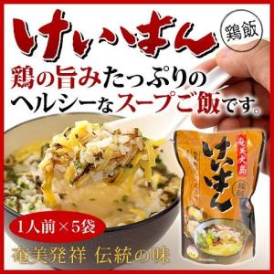 奄美大島 鶏飯 けいはん 1人前×5個×5袋 鶏飯の素 ブロック ヤマア フリーズドライ スープごはん｜amami-osima