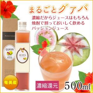 ディタ グァバ 21度 700ml _t : リカーズベストY店 - 通販 - Yahoo