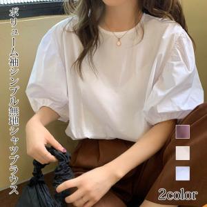 シャツブラウス ボリューム袖 シンプル 無地 バルーンスリーブ