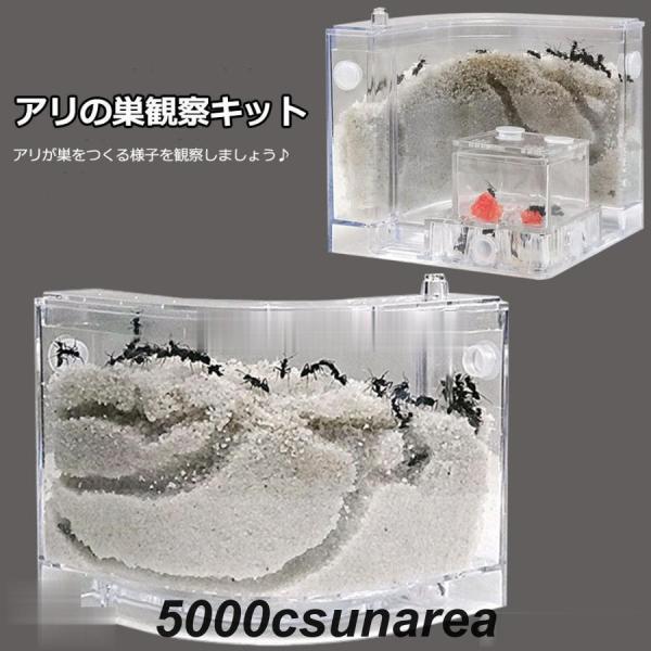 おもちゃ アリの巣　あり観察キット　飼育ケース　砂　自由研究 小学生 あり 蟻 飼育セット 実験セッ...