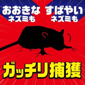 ネズミホイホイ ネズミ捕獲 粘着シート 2セッ...の詳細画像1