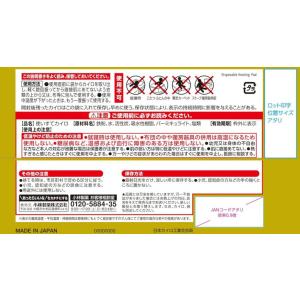 カイロ はらない 貼らない ミニ 10個入 桐...の詳細画像1