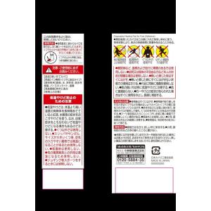 カイロ 靴下用 足の甲に貼る はる 桐灰 くつ...の詳細画像1
