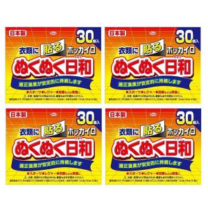 ホッカイロ ぬくぬく日和 はる 貼る レギュラー...の商品画像