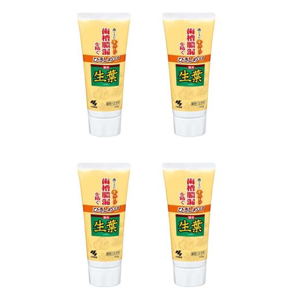 歯磨き粉 ひきしめ生葉 歯槽膿漏を防ぐ 薬用ハミガキ ハーブミント味 100g しょうよう【×4個セ...