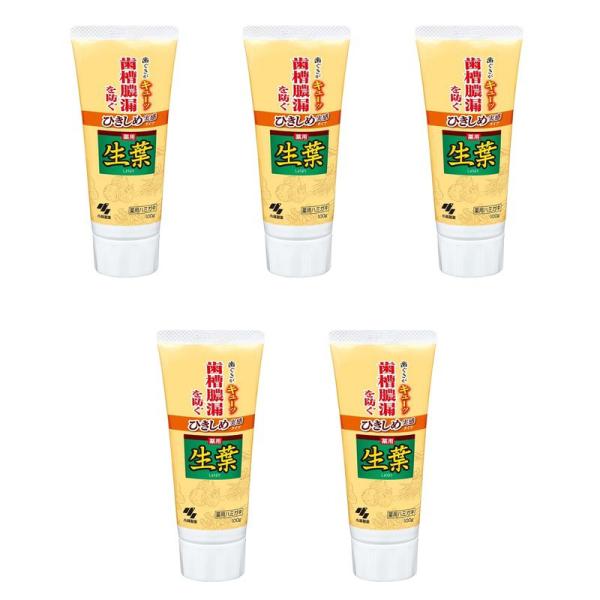 歯磨き粉 ひきしめ生葉 歯槽膿漏を防ぐ 薬用ハミガキ ハーブミント味 100g しょうよう【×5個セ...