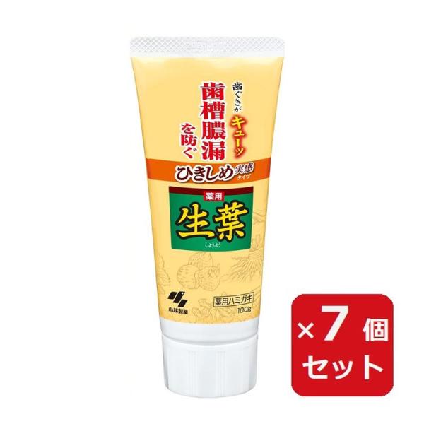 歯磨き粉 ひきしめ生葉 歯槽膿漏を防ぐ 薬用ハミガキ ハーブミント味 100g しょうよう【×7個セ...