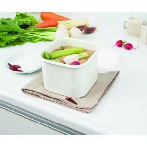 ホーロー 保存容器 角2型 食材保存 ザワークラウト ぬか漬け 糠漬け 新輝合成 トンボ ぬか床 糠...
