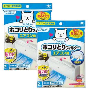 パッと貼るだけ ホコリとりフィルター エアコン用 2枚入 埃 ほこり  【×2個セット】