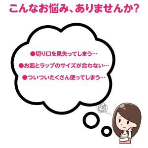 お皿にかぶせるだけ 簡単ラップ 便利グッズ 食...の詳細画像1