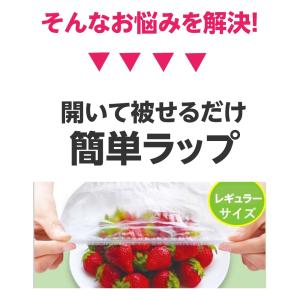 お皿にかぶせるだけ 簡単ラップ 便利グッズ 食...の詳細画像2