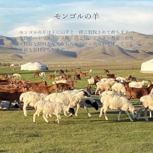 薄手のウールソックス 羊毛 冷えとり あったか靴下の詳細画像1
