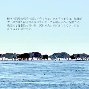 ウール100%ソックス 羊毛 子供用 キッズ ...の詳細画像2
