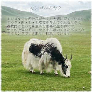 ヤク100%ソックス 冷えとり あったか靴下 ...の詳細画像2