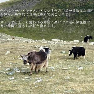 ヤク100%ソックス 冷えとり あったか靴下 ...の詳細画像3