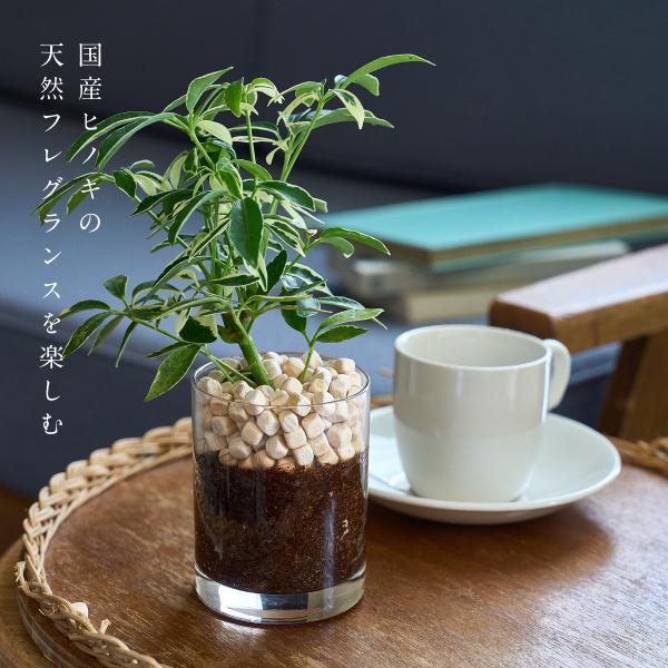 shiyu Aromachips 200g|| shiyu シユ 和漢 ヒノキ 檜 マッサージ 芳香...